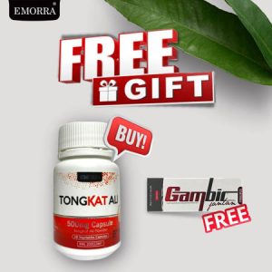 tongkat-ali-gambir